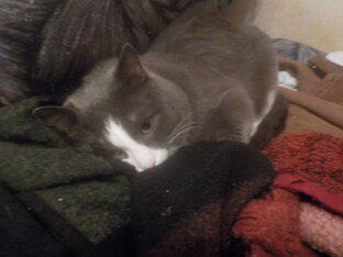 Ненужные люди - инвалиды