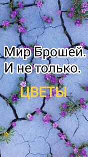 Цветы