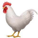 Блюда из птицы