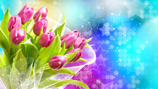 ПОЗДРАВЛЕНИЯ