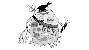 Иммунные войска