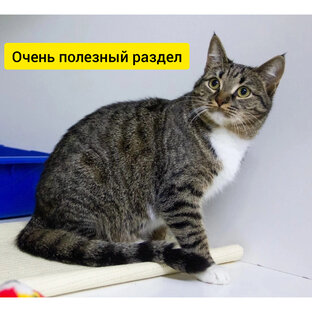 Полезные статьи