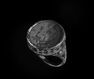 Дневник Елены Анненковой
