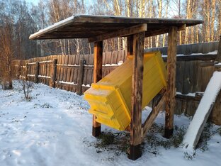 Содержание пчёл в бортях (колодах). Естественное пчеловодство в Западной Сибири
