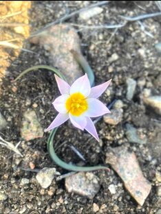 Дикая природа