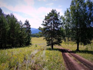 Прогулки с фотоаппаратом