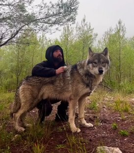 Авторские рассказы из жизни лесника