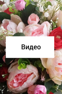 Забавные видеоролики :)
