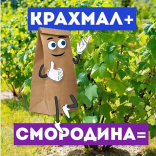 Органические подкормки (без химозы) на даче