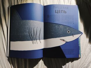 Книги в подарок 