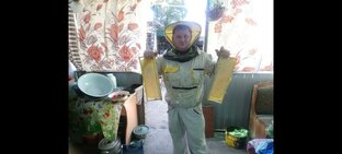 Пчеловодство. Лавля роёв. 
