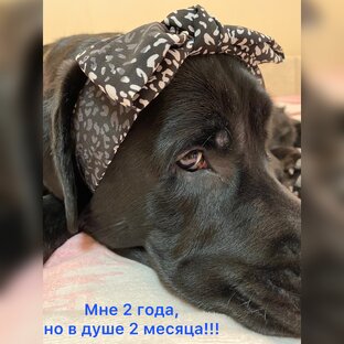 Афинке 2 года