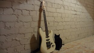 Рок мутной воды