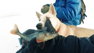 Зимняя рыбалка