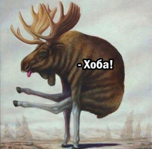 Охота