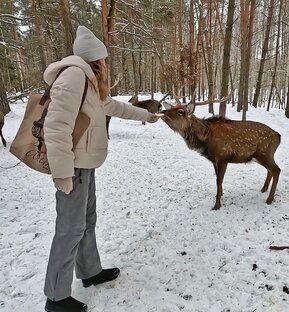 НИЖНИЙ НОВГОРОД и область
