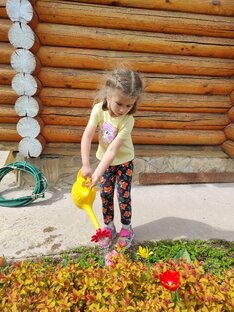 ПРИУСАДЕБНЫЙ УЧАСТОК 