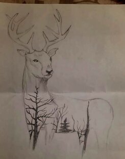 🐺Живое творчество| Авторские рисунки