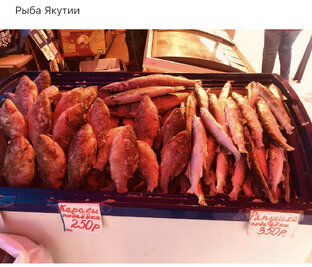 Крестьянский рынок в Якутске 