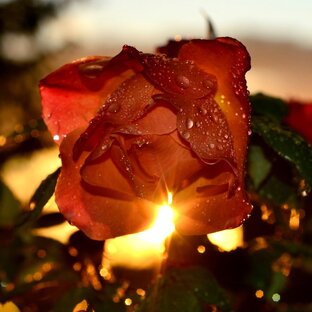 Магия Слова.