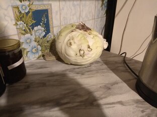 Все обо всем. 