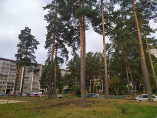 Сортировка