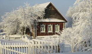 Новогодняя история или как спасти чудо. 