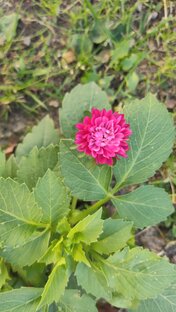 Аффирмация счастья❤