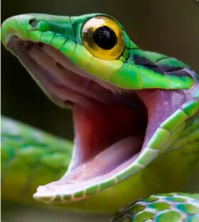 Мои рисульки♡