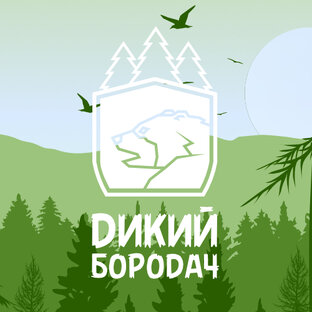 Полевая кухня (Лесные рецепты)