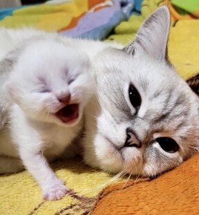 Такие вот истории 💞