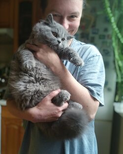 Кошачьи нежности