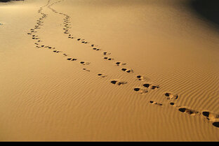 У Бога за пазухой 