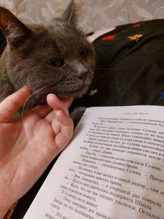 Отзывы на книги