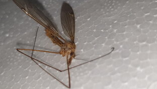 Опасности вокруг нас