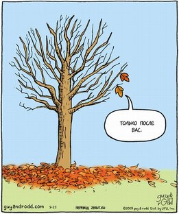 Сад. Не путать с джунглями! 