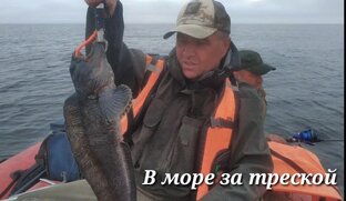 Морская рыбалка