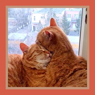 Славик и Егор