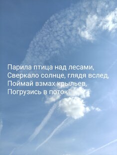 Стихи и рифмы