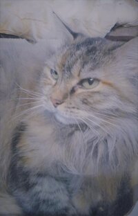 Красивая Муся!