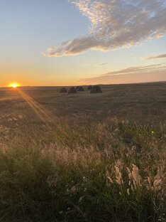 Эзотерические истории