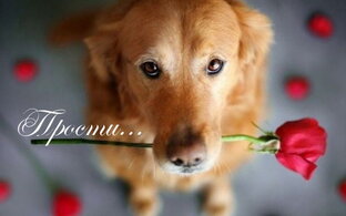 ГАЛИНА