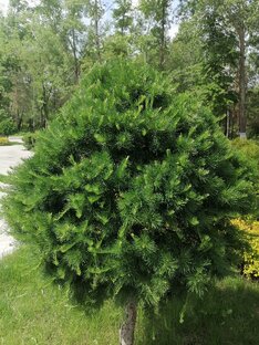 Природа и отдых