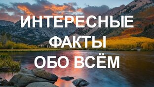 Факты со всего мира!