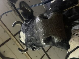 РАЗВЛЕКАТЕЛЬНЫЕ ВИДЕО