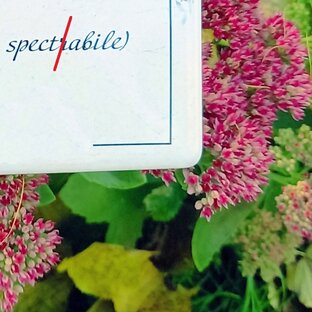 Видовые названия растений