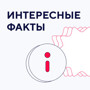 Интересные факты