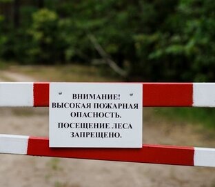 Можно ли идти в лес?