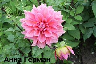 Дача или мои технологии