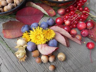 Сад и Огород